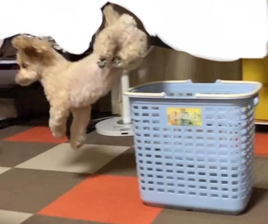 生き物ルーム第51