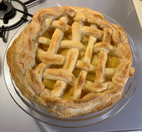 雑談お絵描き部・コラージュ部・素材提供部 No.１２　画像投稿のお悩みはコチラへ