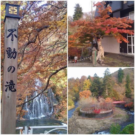 マスク同窓会詰所兼ニューフェイス歓迎所31(野望)