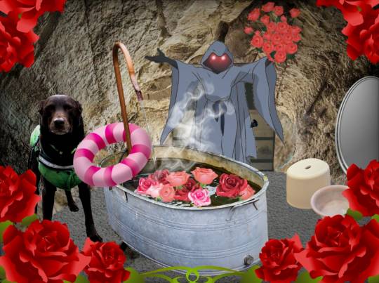 生き物ルーム第51