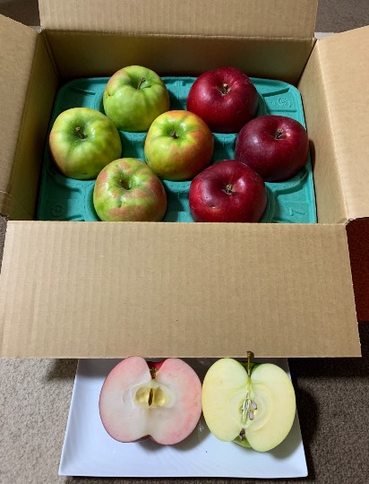 あつまれ!!雑談&ゲーム・アニメ・漫画好きの森 season2#7