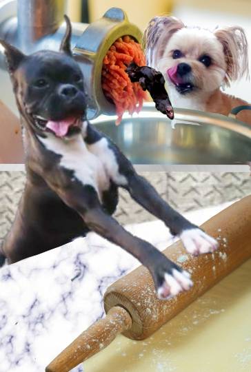 生き物ルーム第51