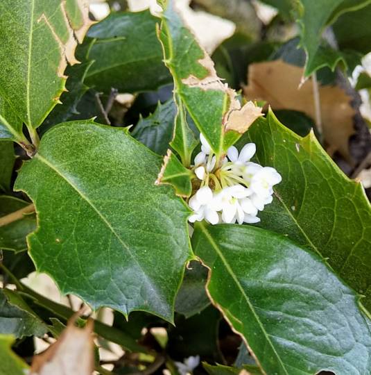 【スナックJINJIN】17号店 Seventeenといえば青春真っ只中!!