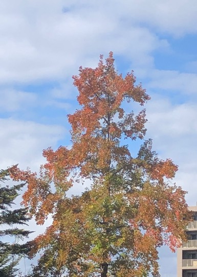 ★ドンキ♡♡ロピア 雑談50★