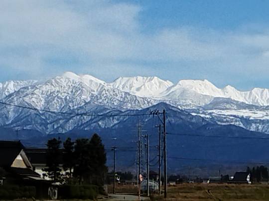 マスク同窓会詰所兼ニューフェイス歓迎所(思いやり)