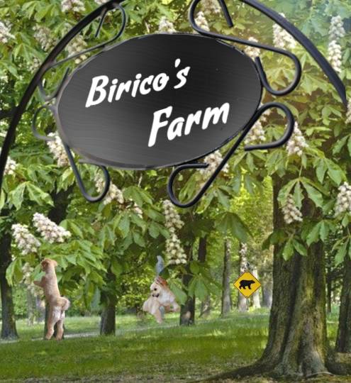 生き物ルーム第51