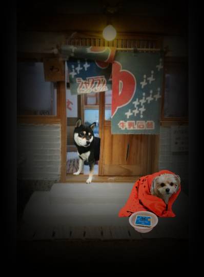 生き物ルーム第51