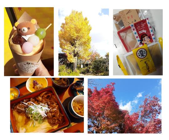 ★ドンキ♡♡ロピア 雑談49★