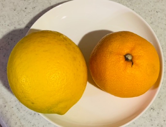 マスク同窓会詰所兼ニューフェイス歓迎所31(野望)