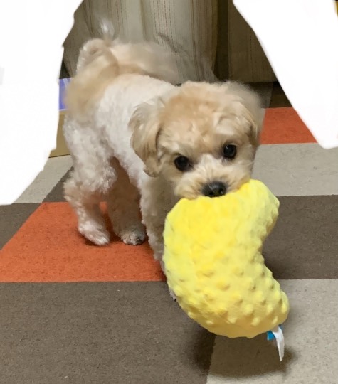 生き物ルーム第51