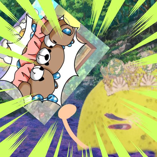 生き物ルーム第52