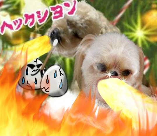 生き物ルーム第52