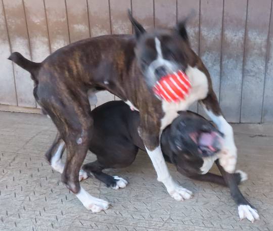 生き物ルーム第52