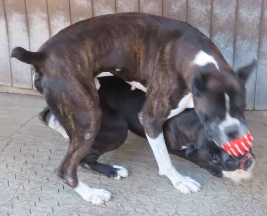 生き物ルーム第52