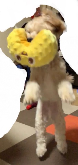 生き物ルーム第52