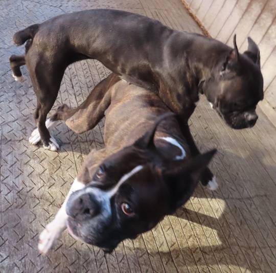 生き物ルーム第52