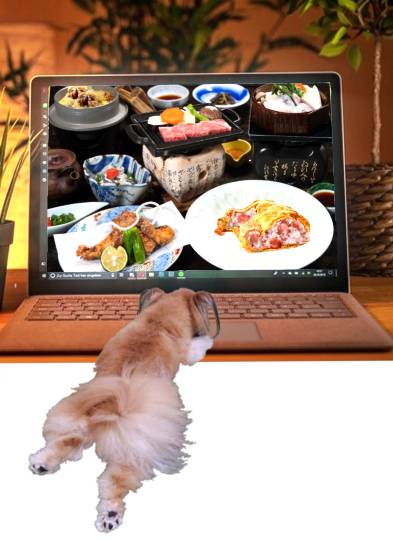 生き物ルーム第51