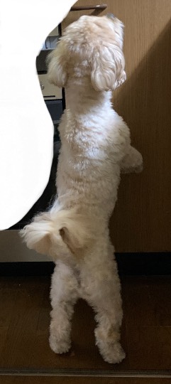 生き物ルーム第52