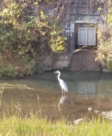 ◆(13)関西版 雑談◆〜関西以外の方も話の輪にどうぞ♪