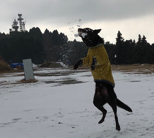 生き物ルーム第52