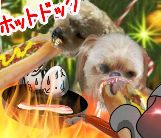 生き物ルーム第52