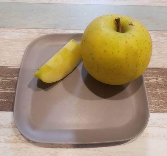 マスク同窓会詰所兼ニューフェイス歓迎所(思いやり)