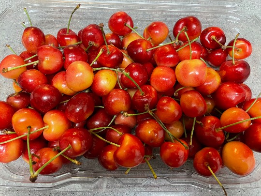 12月26日(日曜日)　守山倉庫店｜おさつどきプレミアムありますでしょうか？...