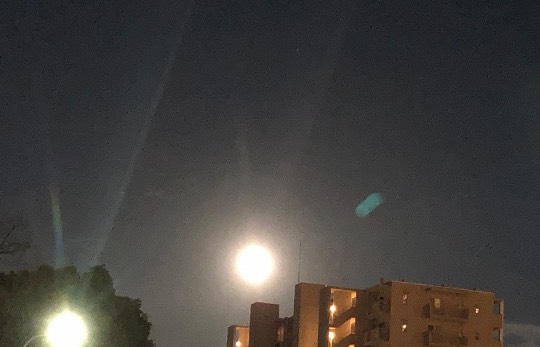 ★ドンキ♡♡ロピア 雑談52★