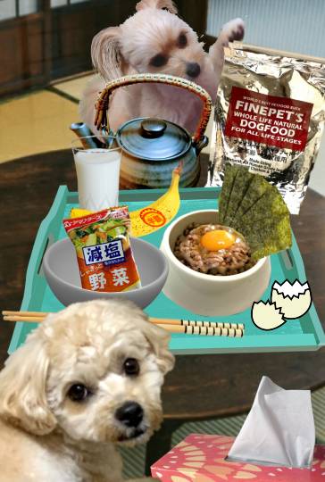 生き物ルーム第51