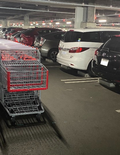 生き物ルーム第51