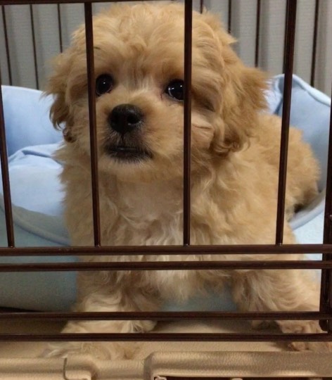 生き物ルーム第52