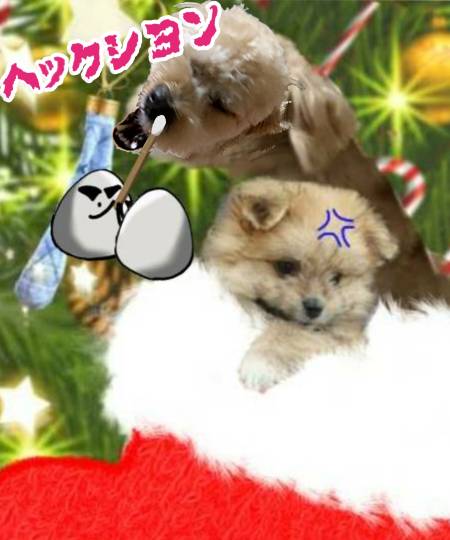 生き物ルーム第52