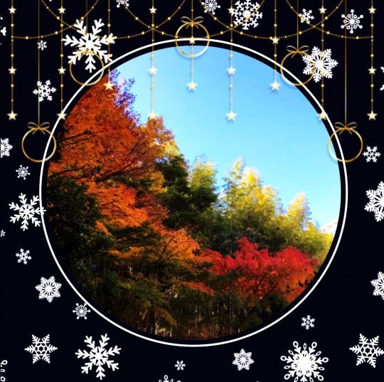 ★ドンキ♡♡ロピア 雑談51★