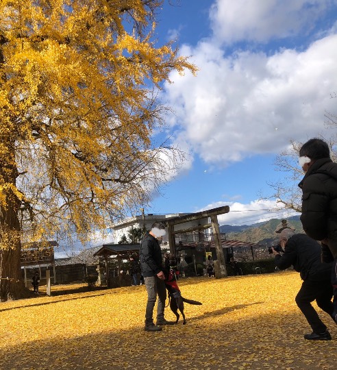 生き物ルーム第51