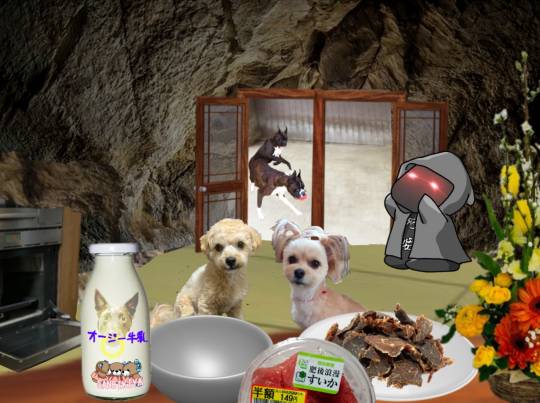 生き物ルーム第51