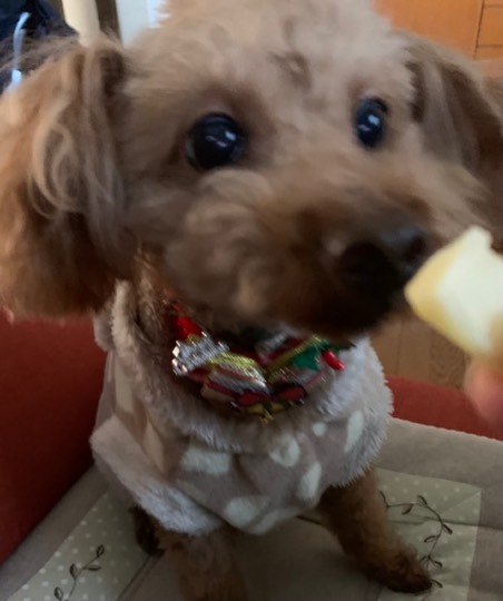 生き物ルーム第52