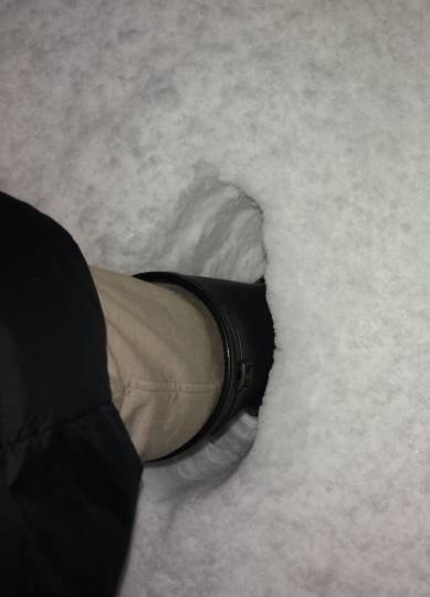 マスク同窓会詰所兼ニューフェイス歓迎所33(優しさ)