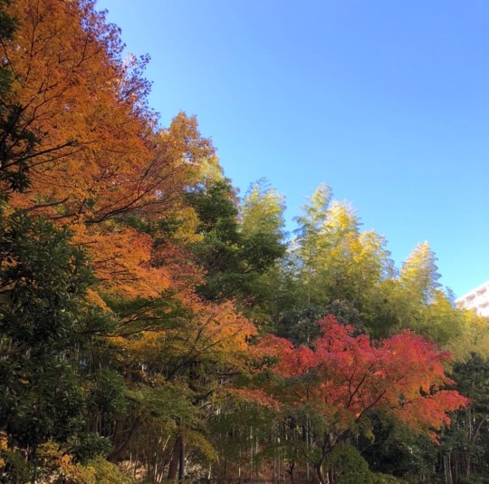 ★ドンキ♡♡ロピア 雑談51★
