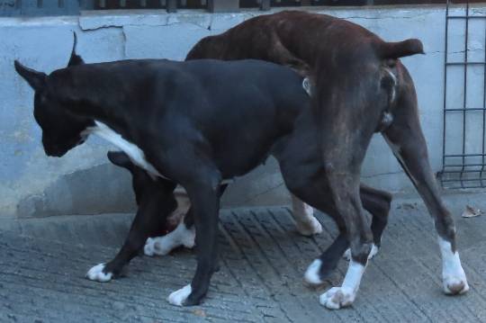 生き物ルーム第52