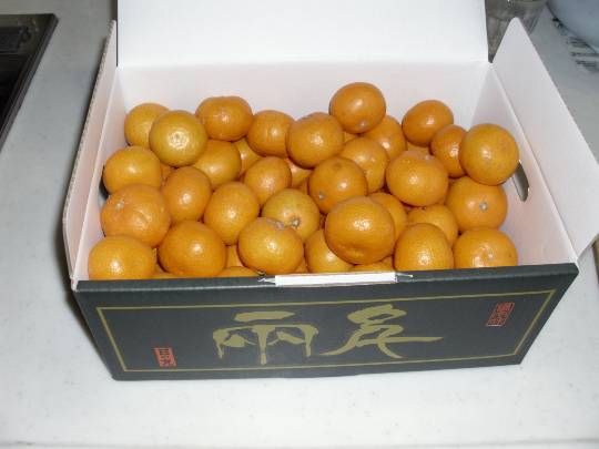 ★ドンキ♡♡ロピア 雑談52★