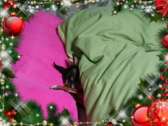 生き物ルーム第52