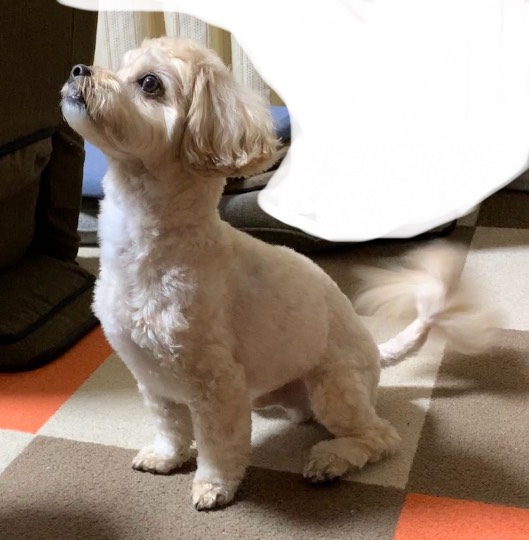 生き物ルーム第51