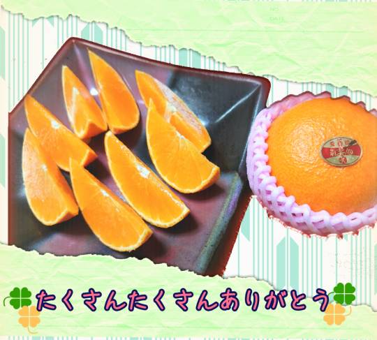 マスク同窓会詰所兼ニューフェイス歓迎所33(優しさ)