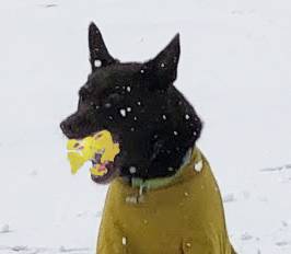 生き物ルーム第52