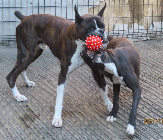 生き物ルーム第52