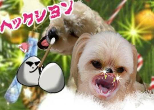 生き物ルーム第52