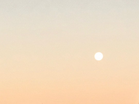 ★ドンキ♡♡ロピア 雑談52★