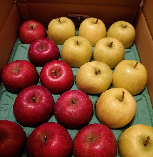 マスク同窓会詰所兼ニューフェイス歓迎所(思いやり)