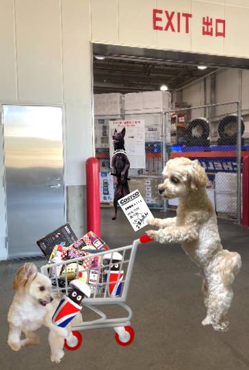 生き物ルーム第51