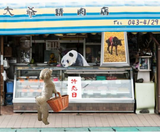 生き物ルーム第51